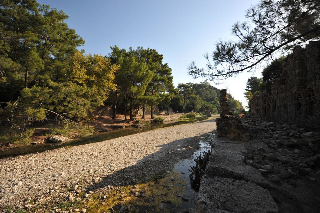 Olympos Koyevi Countryhouse Экстерьер фото
