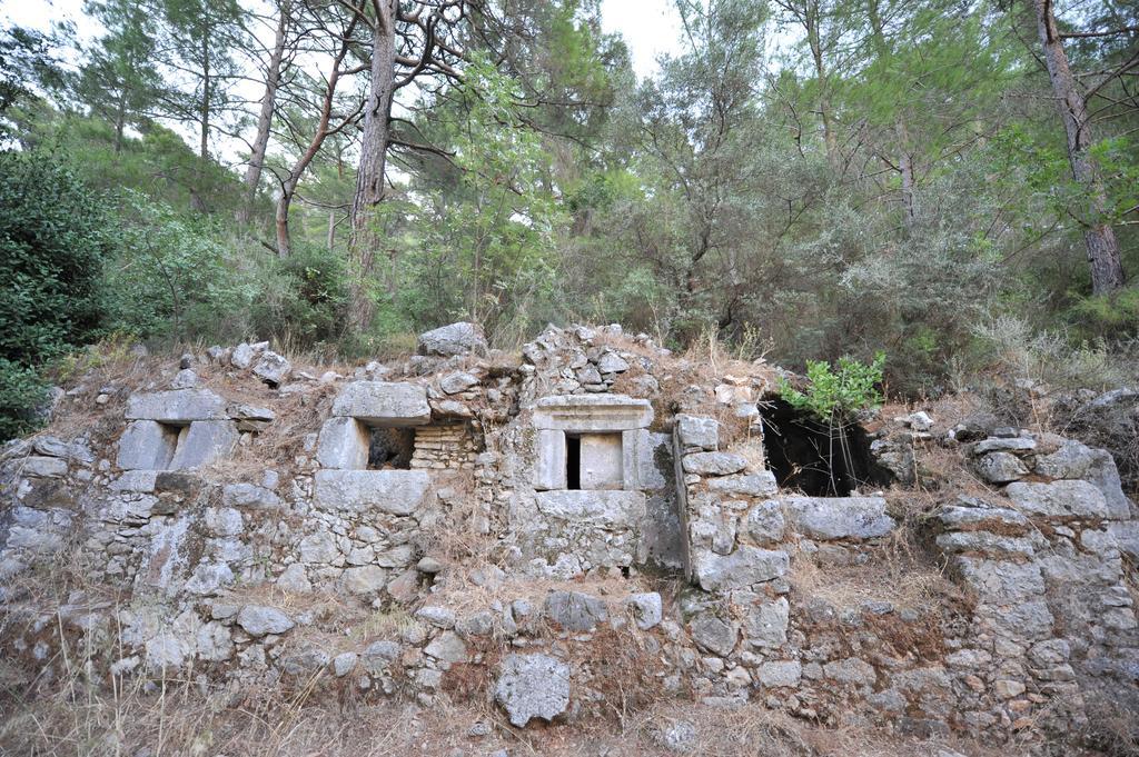 Olympos Koyevi Countryhouse Экстерьер фото